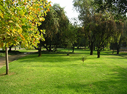 Frühjahrsputz - Stell-Werk Immobilienbetreuungs- und Verwaltungs-GmbH