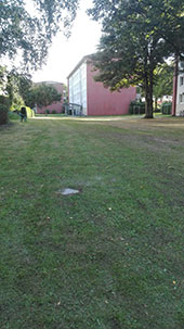 Vertikutieren - Stell-Werk Immobilienbetreuungs- und Verwaltungs-GmbH