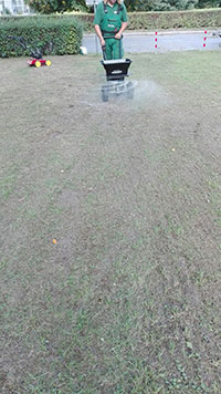 Vertikutieren - Stell-Werk Immobilienbetreuungs- und Verwaltungs-GmbH