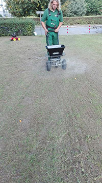 Vertikutieren - Stell-Werk Immobilienbetreuungs- und Verwaltungs-GmbH