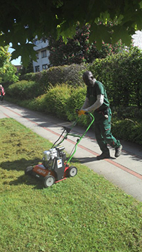 Rasen - Stell-Werk Immobilienbetreuungs- und Verwaltungs-GmbH