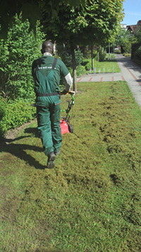 Rasen - Stell-Werk Immobilienbetreuungs- und Verwaltungs-GmbH